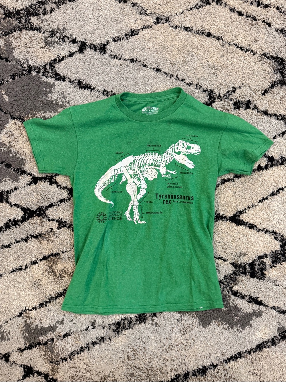 Kids Green Tyrannosaurus Rex Graphic Tee Size Youth Medium